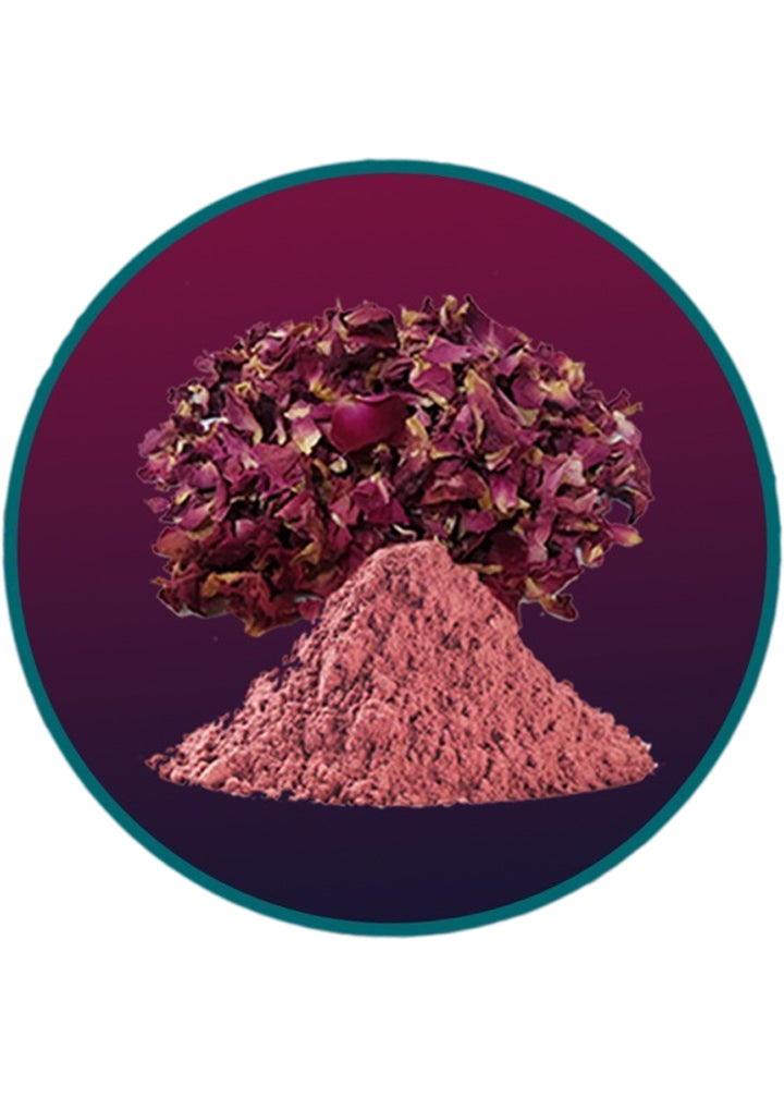 Rose petal powder - Indusfarms