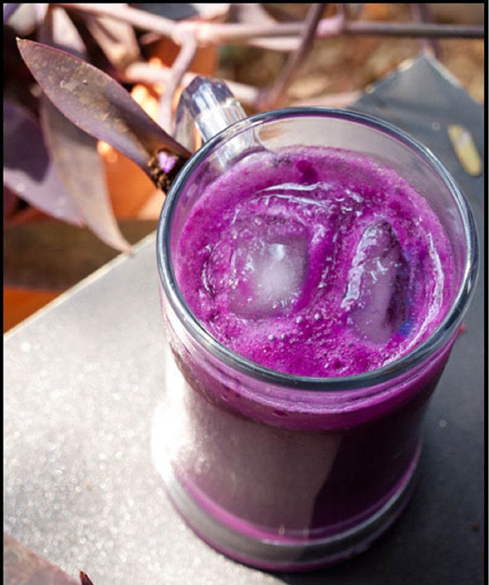 Jamun plum drinks mocktail Indusfarms
