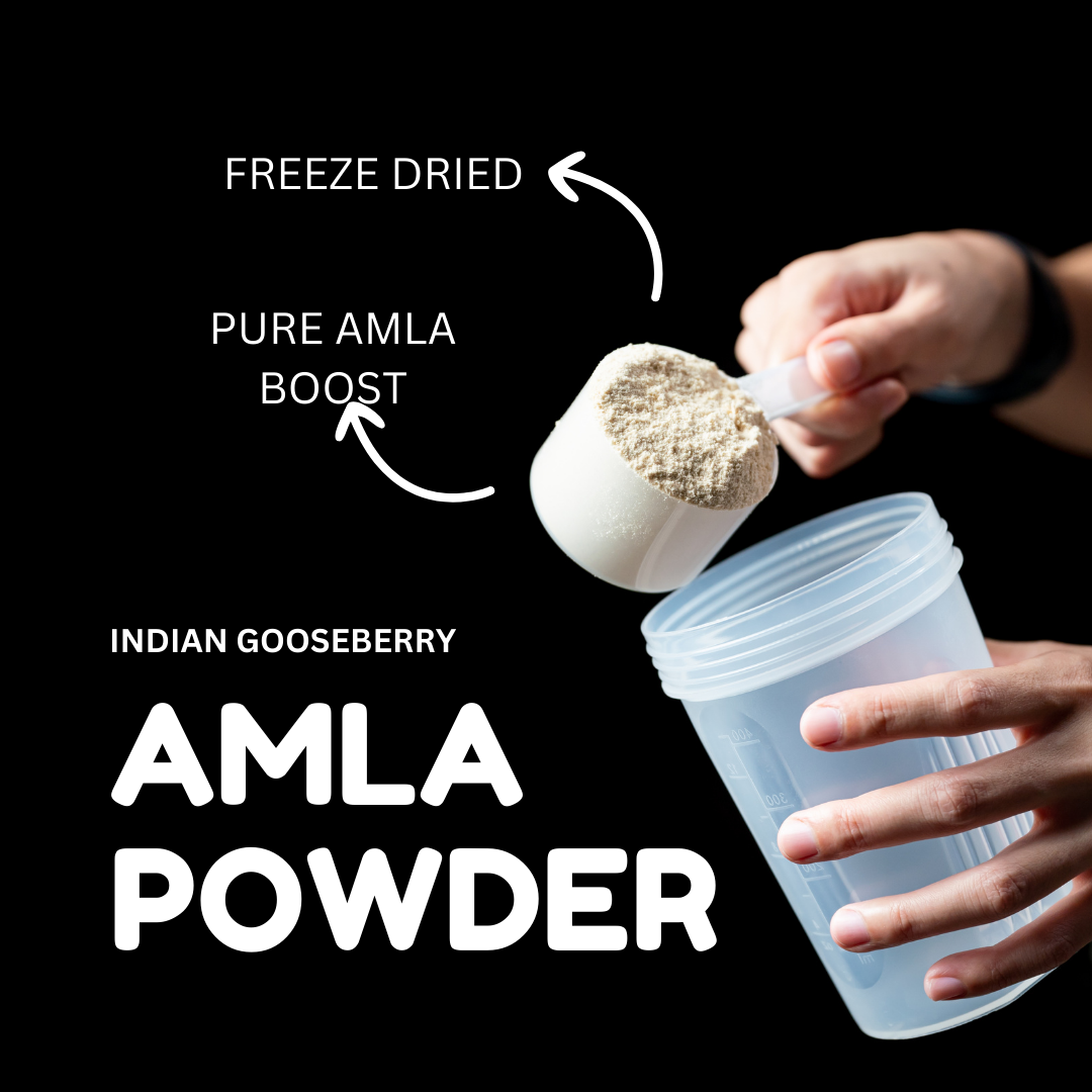 Amla Powder Freeze Dried Indus Farms