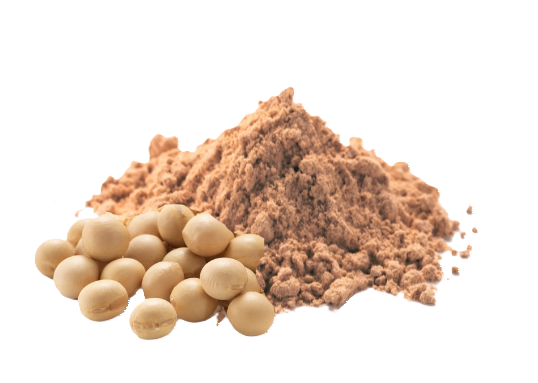 soy sauce powder