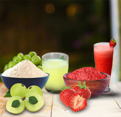 best sellers fruit powders