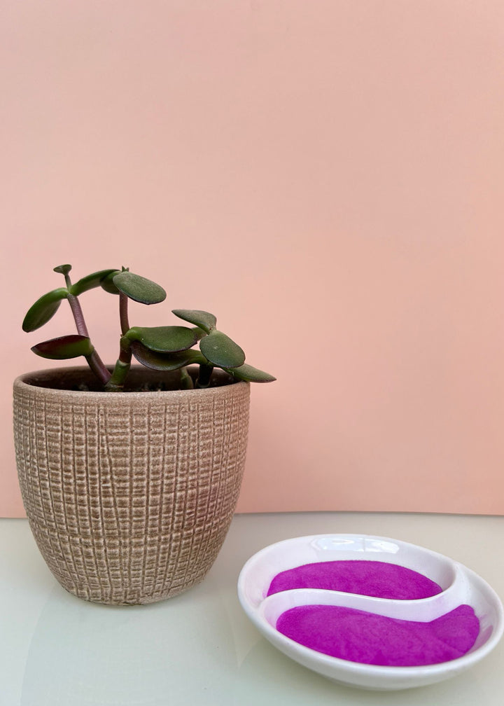 Natural Red Dragon Fruit Powder