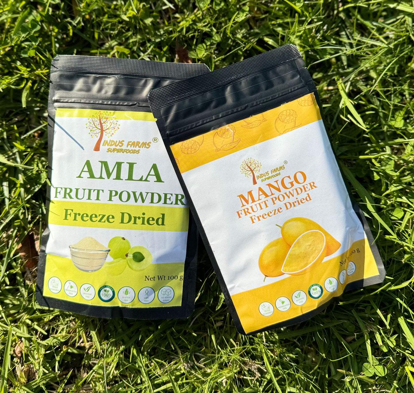 Mango Amla freeze-dried - Indusfarms
