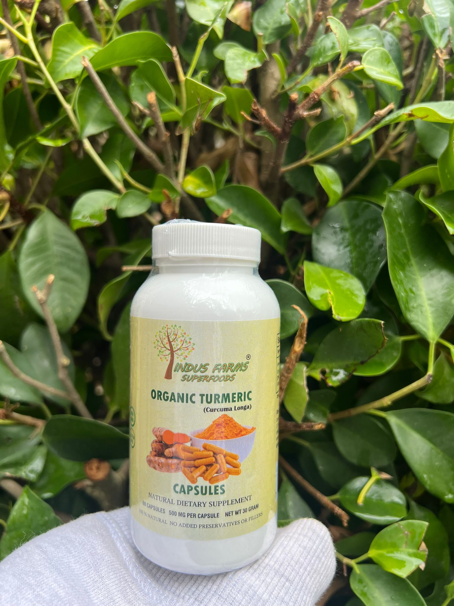 Turmeric for joint pain - Indusfarms