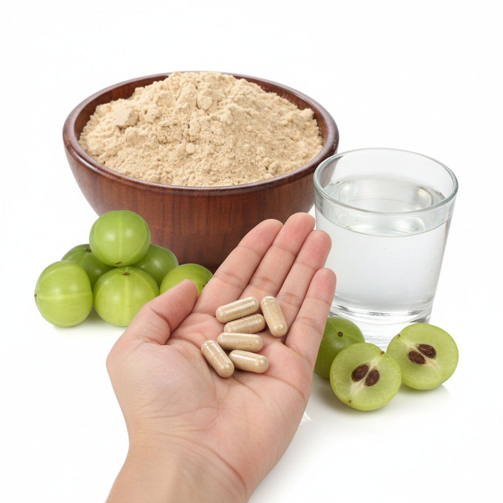 Amla fruit powder capsules easy convenient