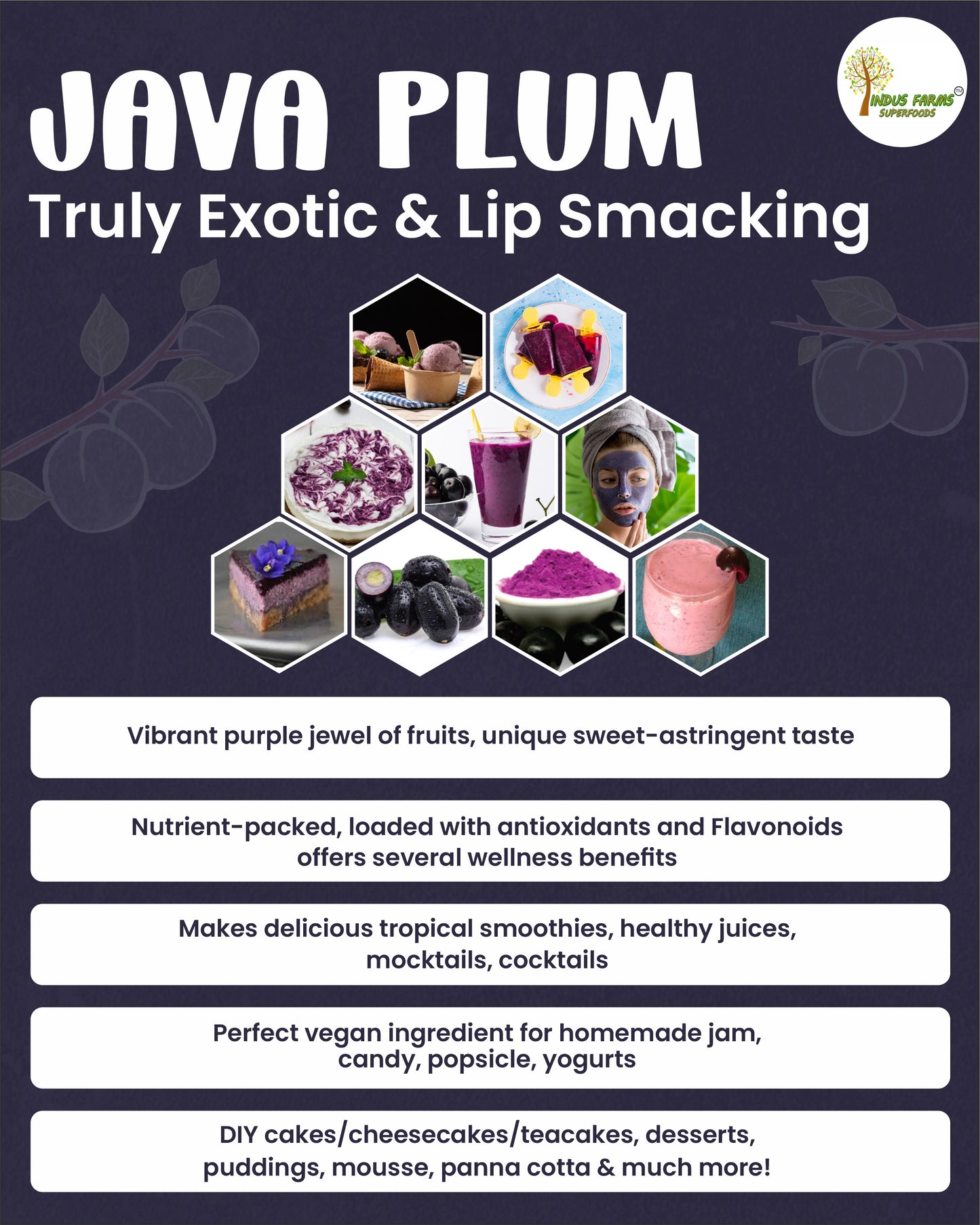 Java Plum (Jamun) Fruit Powder – Natural flavouring Colouring Ingredient, now in Australia