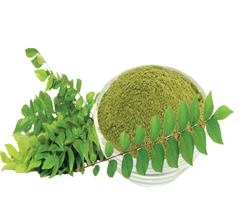 Neem curry leaves powder - Indusfarms