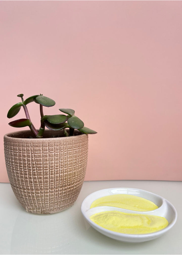 Natural Fruit Powders | Beverage Flavouring | Indus Farm – IndusFarms.au